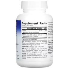 Артишок екстракт 500 мг, Planetary Herbals Артишок, 120 таблеток