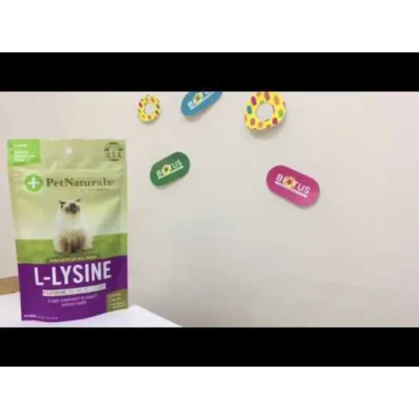Лізин для кішок, L-Lysine, Pet Naturals of Vermont, смак курячої печінки, 250 мг, 60 жувальних шматочків, 90 г