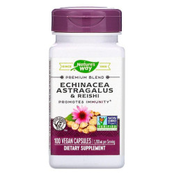 Ехінацея, астрагал і рейші 1200 мг, Nature's Way Echinacea Astragalus & Reishi, 100 капсул