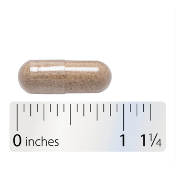 Іглиця шипувата, Butcher's Broom, Nature's Way, корінь, 720 мг, 100 веганських капсул (360 мг на капсулу)