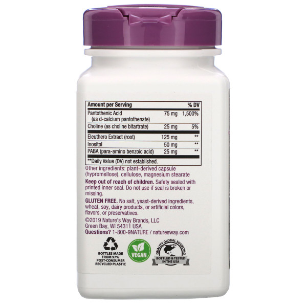 Формула від стресу + елеутерокок, B-Stress Formula, Nature's Way, 100 веганских капсул