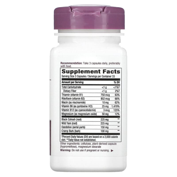 ПМС формула для жінок, PMS With Vitamin B6, Nature's Way, з B6 та іншими вітамінами групи B, 100 капсул