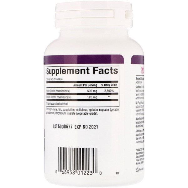 Вітамін В3 (ніацин), Niacin, Natural Factors, 500 мг, 90 капсул