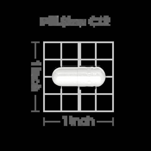 Ніацин, Flush Free Niacin, Puritan's Pride, 500 мг, 100 капсул