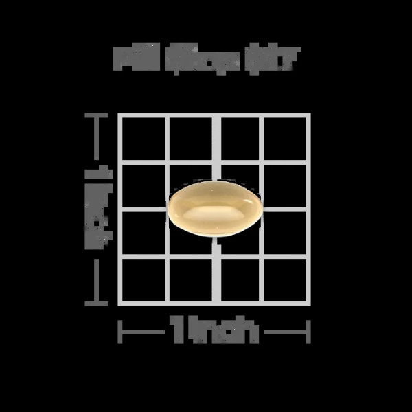 Хлорофіл, концентрат, Chlorophyll Concentrate, Puritan's Pride, 50 мг, 100 гелевих капсул