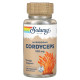 Гриб кордицепс, Cordyceps Mushrooms, Solaray, 520 мг, 100 вегетаріанських капсул