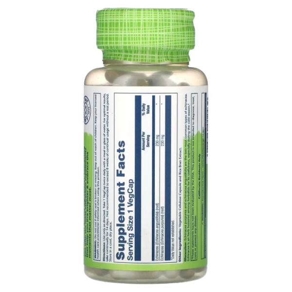 Ехінацея пурпурна та вузьколиста, Echinacea, Purpurea & Angustifolia, True Herbs, Solaray, 460 мг, 100 вегетаріанських капсул