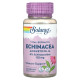 Ехінацея вузьколиста, Echinacea Angustifolia, Vital Extracts, Solaray, 125 мг, 60 вегетаріанських капсул
