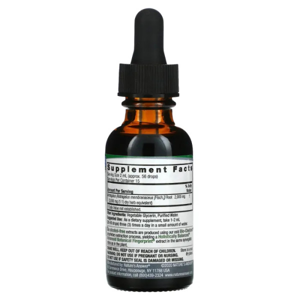 Астрагал, Astragalus Root, Nature's Answer, рідкий екстракт, без спирту, 2000 мг, 30 мл