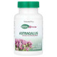 Астрагал, Astragalus, NaturesPlus, Herbal Actives, 450 мг, 60 веганських капсул