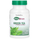 Зеленый чай, Green Tea, NaturesPlus, Herbal Actives, 400 мг, 60 веганских капсул
