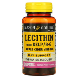 Лецитин с ламинарией и витамином B6, Mason Natural Lecithin with Kelp/B6, 100 капсул
