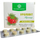 Уроловіт, Рослина Карпат, природна підтримка нирок та сечової системи, 500 мг, 60 таблеток