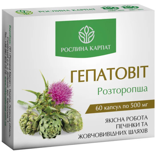 Гепатовіт, Рослина Карпат, підтримка та відновлення печінки та жовчного міхура, 500 мг, 60 капсул