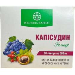 Каписудин 500 мг, Roslyna Karpat, 60 капсул