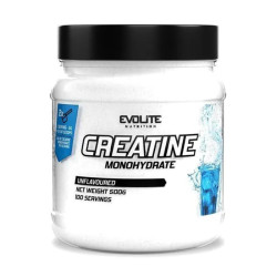 Креатин моногідрат, без смаку, Evolite Nutrition Creatine Monohydrate, 500 г