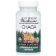 Чага, Chaga, Host Defense, Mushrooms™, антиоксидант и поддержка ДНК, 60 капсул