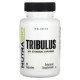 Трибулус терерис, Tribulus, NutraBio, 500 мг, 90 капсул