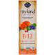Вітамін В-12, Vitamin B-12 Spray, Garden of Life, смак малина, органік, 58 мл