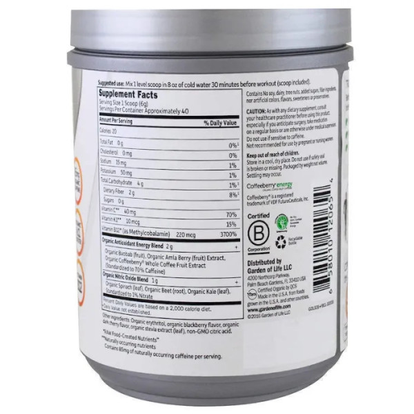 Рослинний білок перед тренуванням, Energy + Focus, Garden of Life, Sport, органік, смак ожини і вишні, 231 г