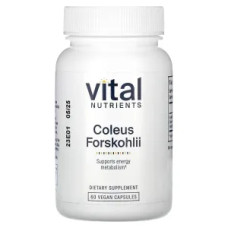 Форсколін, Vital Nutrients Coleus Forskohlii, 60 вегетаріанських капсул