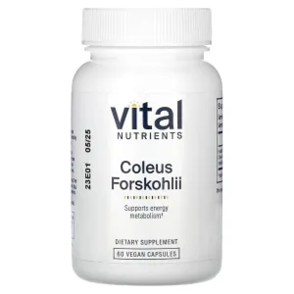 Форсколін, Coleus Forskohlii, Vital Nutrients, 60 вегетаріанських капсул