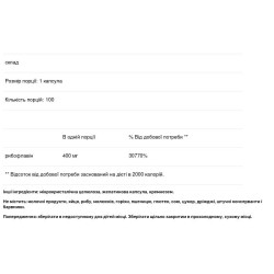 Витамин B2 рибофлавин 400 мг, Bio-Tech B2-400, 100 капсул