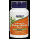 Гінкго білоба, Ginkgo Biloba, Now Foods, подвійна сила, 120 мг, 50 вегетаріанських капсул