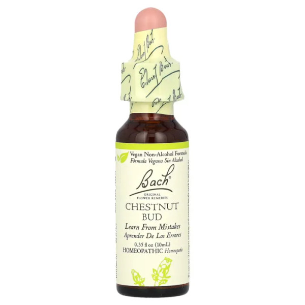 Бутон каштана, Chestnut Bud, Bach, оригінальна квіткова есенція, 10 мл