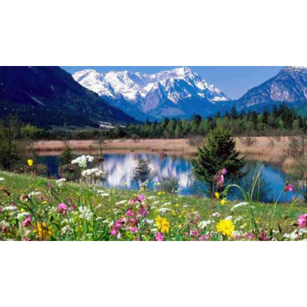 Льодяники від застуди, Herbal Lozenges Bag 20 herbs + Sage, Swiss Energy, від кашлю, болю в горлі та закладеності носа, 20 альпійських трав і шавлії, 12 трав'яних льодяників (55 г)