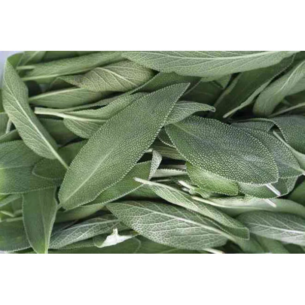 Льодяники від застуди, для дітей, Herbal Lozenges Blister 20 herbs + Sage for kids, Swiss Energy, від кашлю, болю в горлі та закладеності носа, 20 альпійських трав та шавлія, 12 трав'яних льодяників