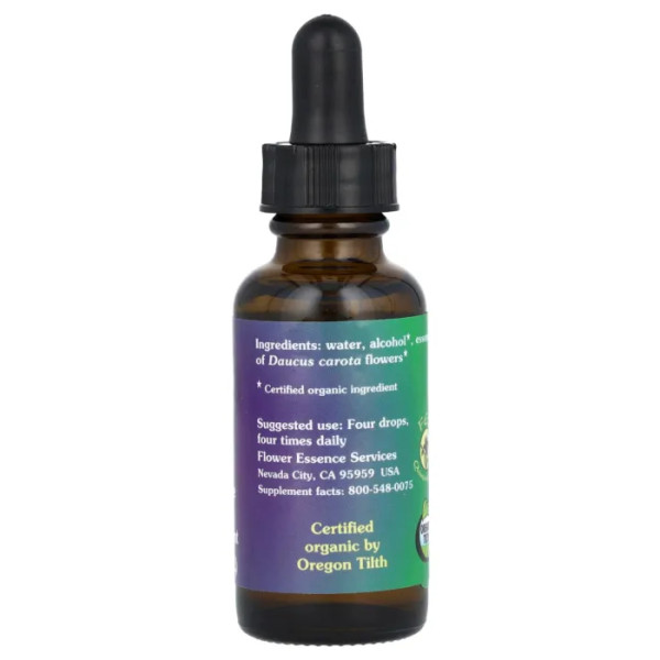 Квіти моркви, Queen Anne's Lace, Flower Essence Services, квіткова есенція, 30 мл