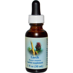 Квіткова есенція модрина, Larch Flower Essence Services, 30 мл