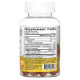 Пробіотик + підтримка імунітету, Probiotic + Immune, Jarrow Formulas, смак апельсина, 2 млрд, 50 жувальних цукерок