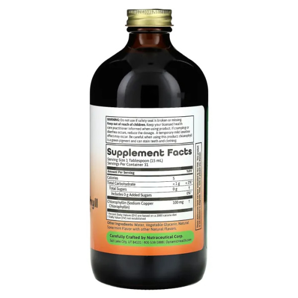 Хлорофіл рідкий, Liquid Chlorophyll, Dynamic Health Laboratories, смак м'яти, 100 мг, 473 мг