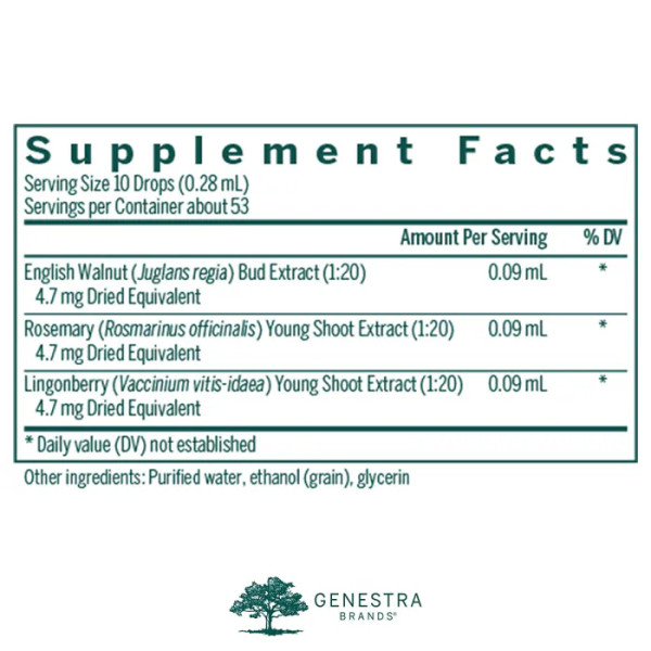 Трав'яна добавка з англійським волоським горіхом, розмарином і брусницею, Intest-gen, Genestra Brands, 15 мл.