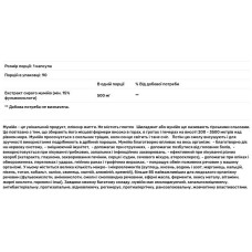 Шиладжит 500 мг, сирий, Shilajit Sunfood, 90 капсул
