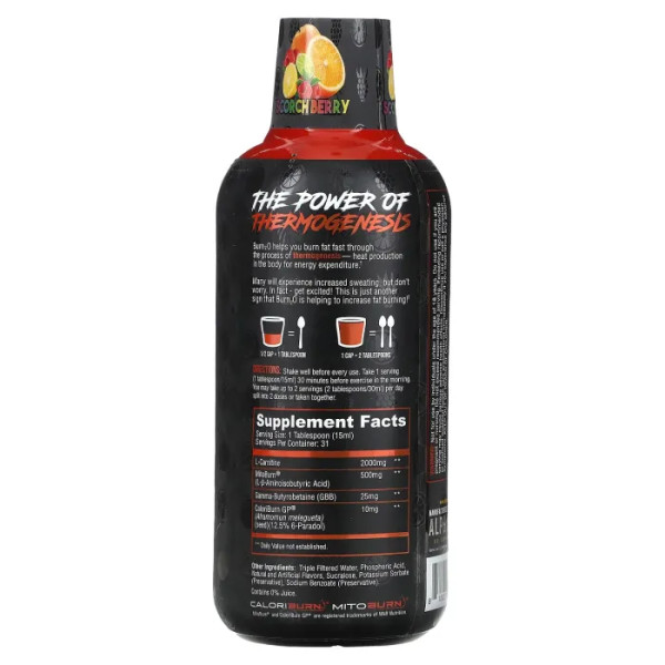 Жироспалювач термогенний, Burn2O, ALPHA LION, смак фруктового асорті, 465 мл