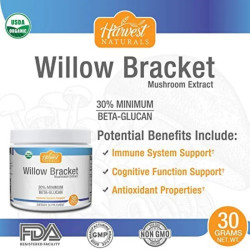 Экстракт гриба трутовика, Hard Rhino Willow Bracket (Phellinus Igniarius), 30 г