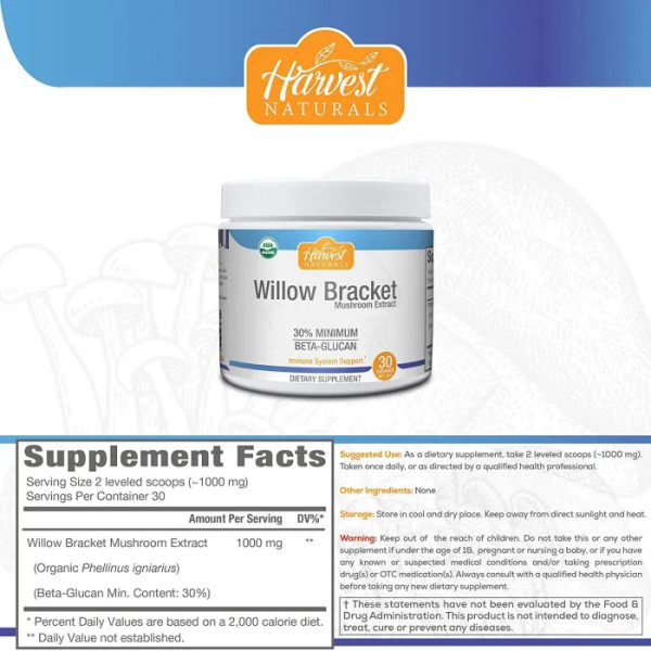 Трутовик екстракт гриба, Willow Bracket (Phellinus Igniarius), Hard Rhino, 30 грам