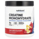Креатин моногідрат, Creatine Monohydrate, Performance, Nutricost, фруктовий пунш, 300 г