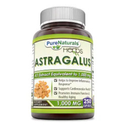 Астрагал 1000 мг, Astragalus Pure Naturals, 250 капсул