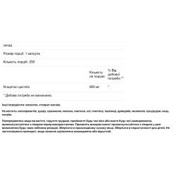 NAC 600 мг, Pure Naturals NAC, 250 капсул