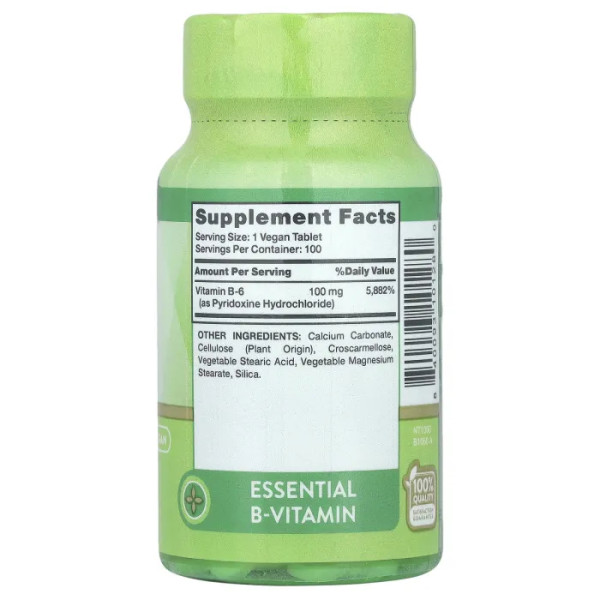 Вітамін B-6, Vitamin B-6, Nature's Truth, 100 мг, 100 таблеток