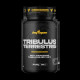 Трибулус Теретріс, Tribulus Terrestris, BigMan, 1500 мг, 90 капсул