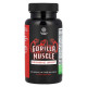 Передтренувальний комплекс, Performance Support, Nature's Craft, Gorilla Muscle, 60 капсул