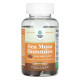 Морський мох, Sea Moss Gummies, Nature's Craft, зі смаком ягідного асорті, 30 жувальних таблеток