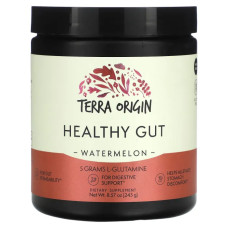Здоровий кишечник, смак кавун, Terra Origin Healthy Gut, 243 г