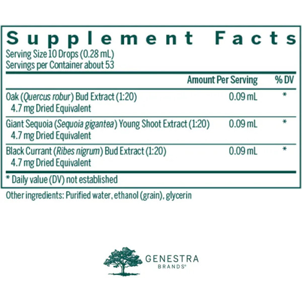 Підтримка наднирників, трав'яна формула, Tonic-gen, Genestra Brands, 15 мл