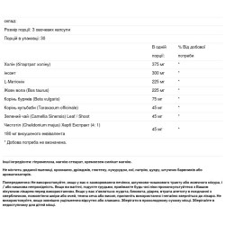 Поддержка желчеотделения, Genestra Brands Ichol Plus, 90 растительных капсул